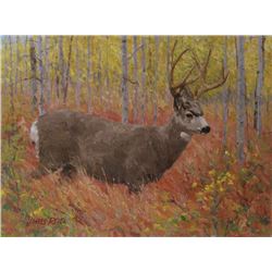 Among The Aspen, by James Reid