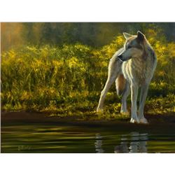 Last Light on Lone Wolf, by Joe Kronenberg