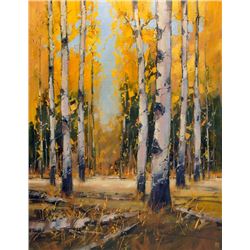 Into An Aspen Meadow, by David W. Mayer