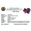 Image 2 : 9.66ctw Fancy Ruby Parcel