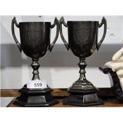 Pair of new trophies