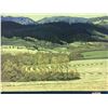 Image 2 : ORIGINAL OIL ON CANVAS 2 PAINTING SET 'LONG VALLEY TAPESTRY'