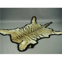 A tiger skin with a felt back and a label to the underside: Van Ingen & Van Ingen, Mysore, c.1...