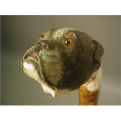 A Victorian walking stick, the top carved and painted with a bulldogs head on a bark shaft, 91...