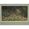 Image 1 : Richard Bawden 'SONG THRUSH' Linocut, signed and inscribed in pencil, no. 45/75, 17 x 28.5c...