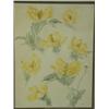 Image 1 : Victoria Burroughs 'SEA POPPIES' Signed with initials, watercolour, 33 x 24.5cm Est. 50/...