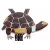 Image 8 : Zuni Tortoise Shell & Turquoise Bolo Tie Early