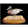 Image 1 : Mallard Duck Carving by Tom Ahern 1983