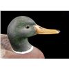 Image 8 : Mallard Duck Carving by Tom Ahern 1983