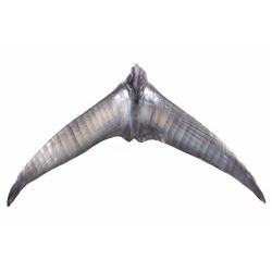 Trophy Blue Fin Tuna Tail Fluke Wall Mount