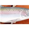 Image 3 : Rainbow Trout Carving by Deer Lodge Prison Inmate