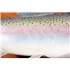 Image 4 : Rainbow Trout Carving by Deer Lodge Prison Inmate