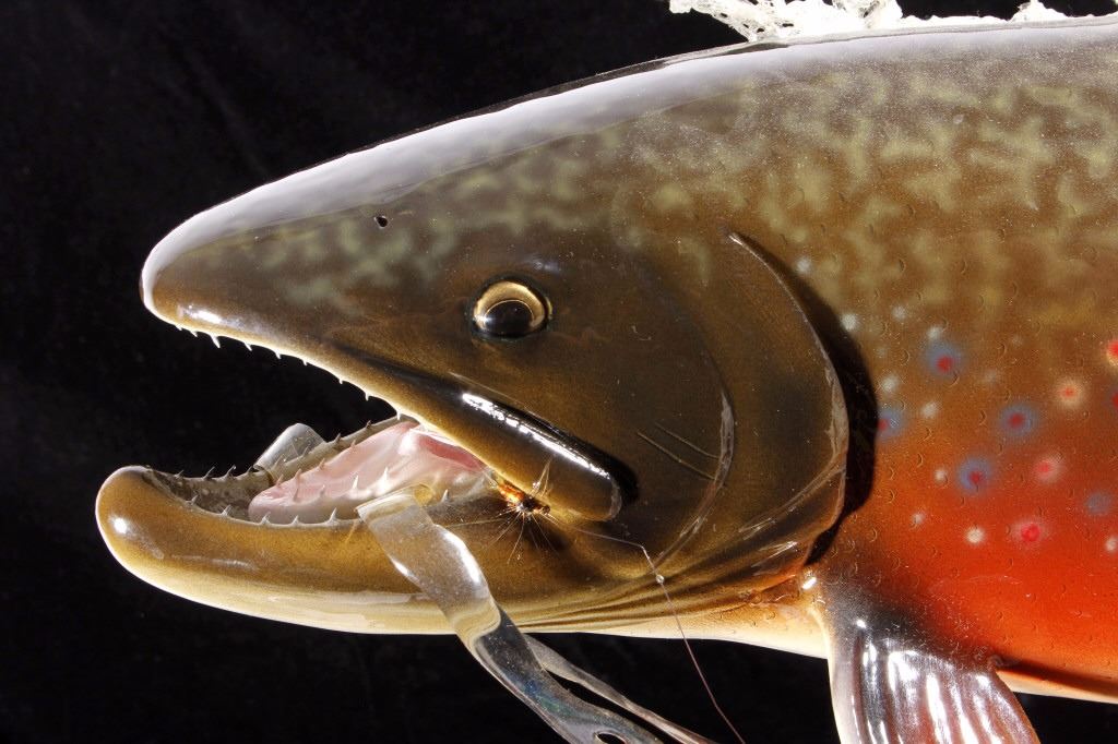 Bull Trout Carving by Powell Swanser Milltown, MT