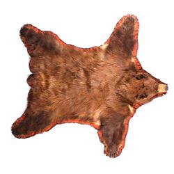 Montana Brown Bear Trophy Rug