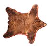Image 1 : Montana Brown Bear Trophy Rug