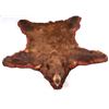 Image 2 : Montana Brown Bear Trophy Rug