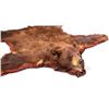 Image 3 : Montana Brown Bear Trophy Rug