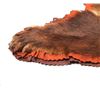 Image 4 : Montana Brown Bear Trophy Rug