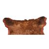 Image 6 : Montana Brown Bear Trophy Rug