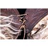 Image 5 : Antique Western Cowboy Wooly Chaps