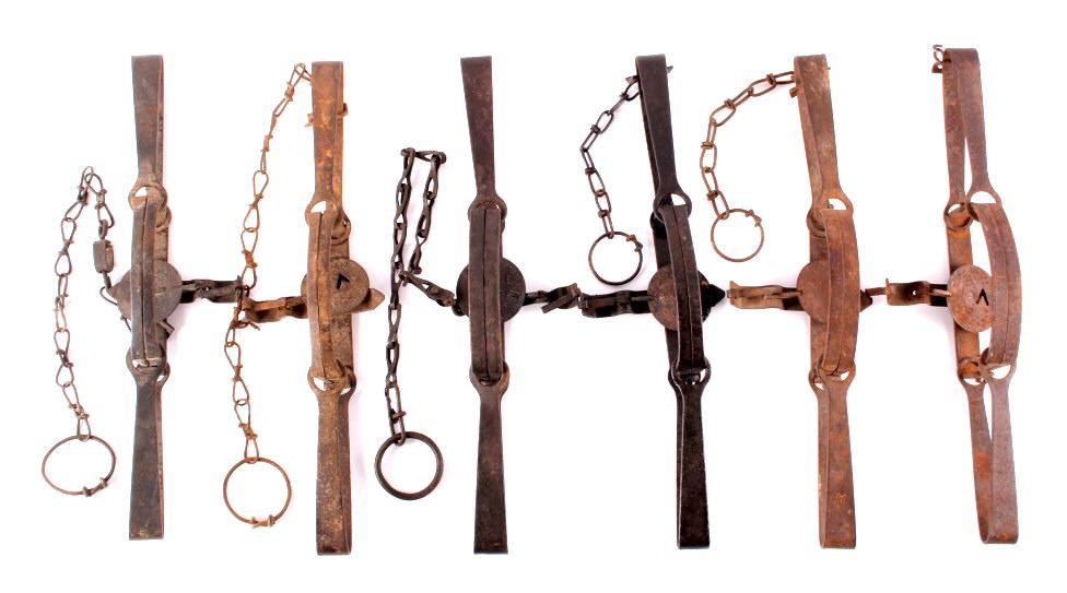 Victor 4 Long Spring Coyote Trap Collection