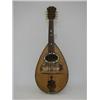 Image 1 : A CASED MANDOLINE, rosewood, tortoiseshell, kingwood etc, interior  paper label 'Archille Lanfran...