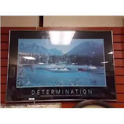 PICTURE - DETERMINATION\