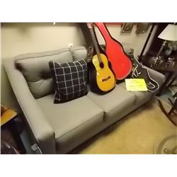 NEW FURNITURE- COUCH AND THROW CUSION