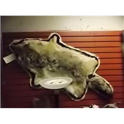 AUTHENTIC WOLF PELT - HEAD TO TAIL