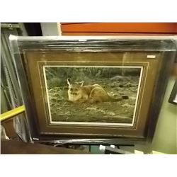 FRAMED LIMITED EDITION - STICKS & STONES - YOUNG COUGARS - A CASEY - GALLERY ESTIMATE $725