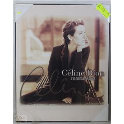 CELINE DION PICTURE