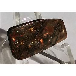 29 X 14 MM NATURAL AMMOLITE GEMSTONE