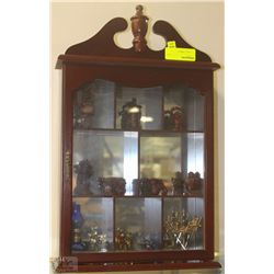 WOOD AND GLASS HANGING DISPLAY CASE FILLED WITH