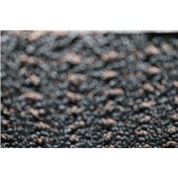 25)CARPET ROLL END  22'3"