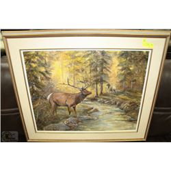 ELK PICTURE BY. B.JOHNSTON 1985