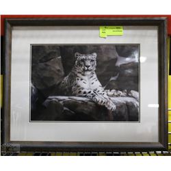 CHEETAH FRAMED PICTURE