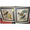 Image 1 : PAIR OF FRAMED ESTATE BIRD PICTURES BY VINCENT
