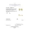 Image 3 : 1.50 ctw Diamond Stud Earrings - 14KT Yellow Gold