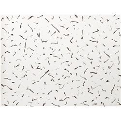 Seo-Bo Park, Ecriture, Lithograph