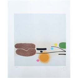 Victor Pasmore, Points of Contact 36, Silkscreen