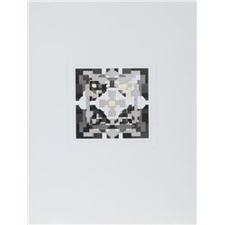 Vikki Slowe, Sunlit Garden I, Aquatint Etching