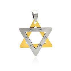 Stainless Steel Gold Plated Two Tone Star of David Clear CZ Charm Pendant ssp00371