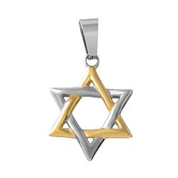 Stainless Steel Two Tone Gold Small Star of David SSP00501GP