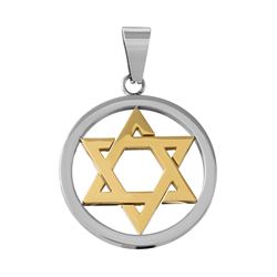 Stainless Steel Polished Two Tone Gold Star of David Round Charm Pendant SSP00504