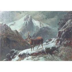Clarence Roe (1850-1909) oil on board, Stag in a winter landscape, signed, 14 x 20 ins....