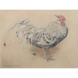 Joseph Crawhall (1861-1913) pencil and crayon, "The Spangled Cock", initialled and dated 1903, 11...