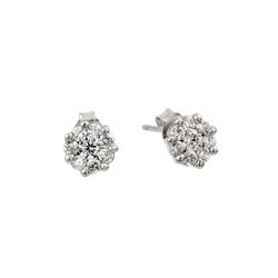 Sterling Silver Rhodium Plated Cluster Earring STE00977