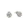 Image 1 : Sterling Silver Rhodium Plated Cluster Earring STE00977