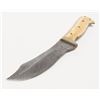 Image 8 : Clip point curved blade knife, approximately 9&#8221; overall