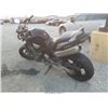 Image 3 : 2005 - HONDA CB900F//BONDED TITLE